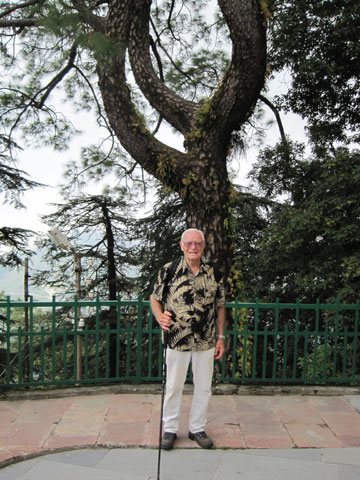 Dad and the Lyre Tree. Still there after all these years.